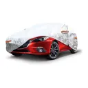 Accesorii auto